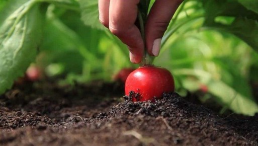 ��� ��������� �������, ����� ��� ���� ������� � ������: ������ �� �����