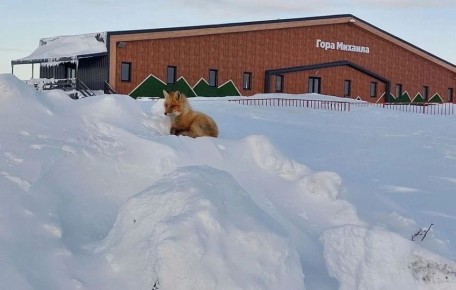 ������ ����������� ��� ������� �������