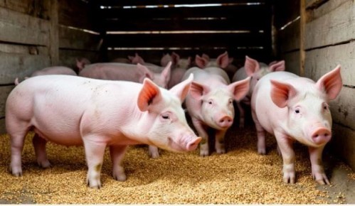 � 27 ������ �������� ����� ������ �� �������� ��� �������� �������!