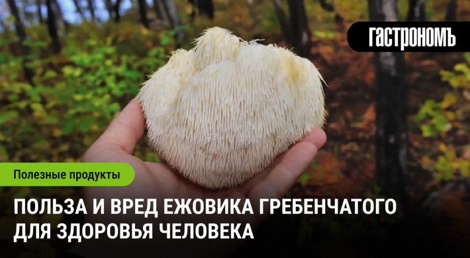 ����-�����: ��� �� �������� ������ � ��������