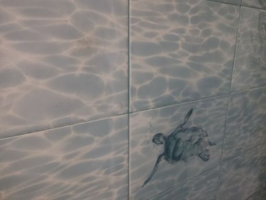 ��� �������� ������ ���� ����� ��� ������ ������ �� ����