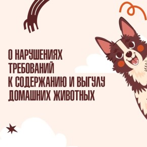 ��������, ������ �������!. �������� ���� �������� �� ������ ���������� � ���������� � ������ �������� �������� � ��������������� ���������������� ��������������� �� �� ���������! ���������� ������ ���������� ��� �����������...