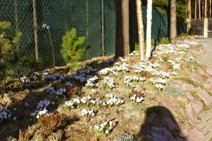 ����� ������������ ��������: ��� ���������� � ����?