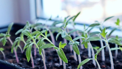 ��� ���������� ������ � �������������: ������� ����������� �������