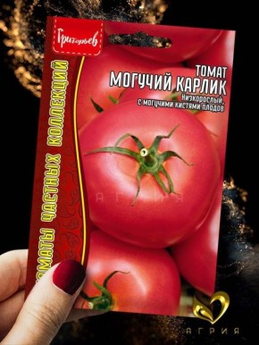 ������� ������: ���������� ����� � �������� ������� ��� ��������� ������