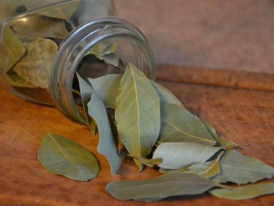 �������� ����: ������� �������� �������, � ������� �� �� �����