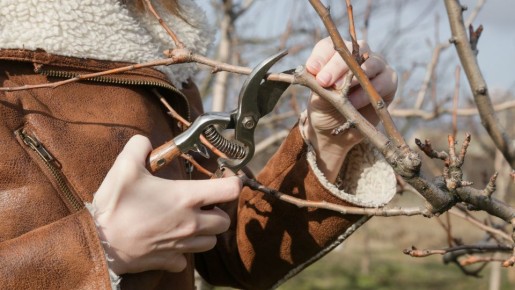 �������� ������� ��������: ������� ������������ ��� �������� ������