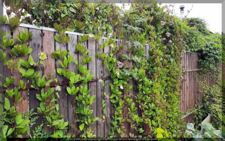 ��� �������� ���: ������� ������������� ���������� � ����������� �������