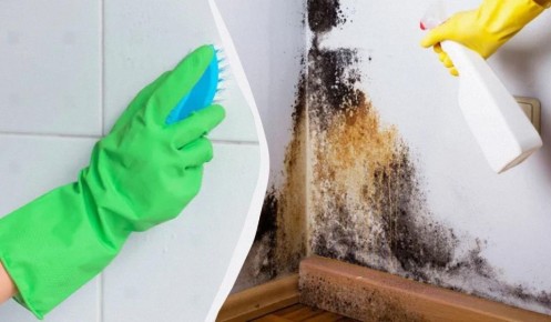 ��� �������� �������� ������ �������: ������� ������ ��� ������ ����