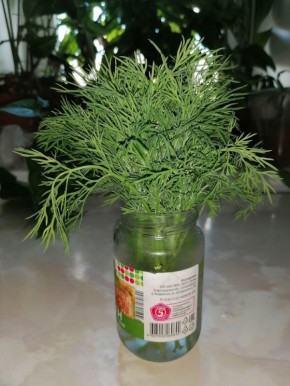 ��� ��������� �������� ���������: �������� � ���������������� ������