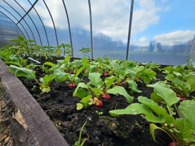 �������, � ������� �������� �����������, ����� ��������� ��������������� ��������