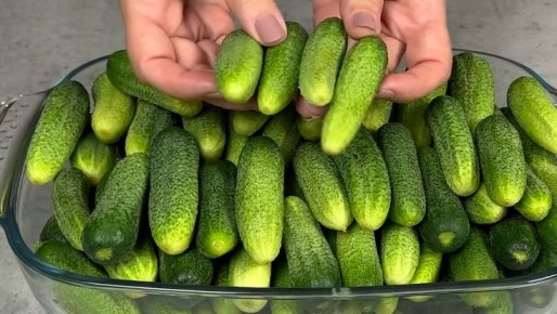 ����� ����� ������: ��� ���������� � ��������� �������