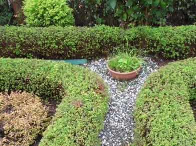 �������� ��������� ����� ��������: 10 �������� ��� ������ ����