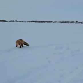 ��� �� ����� � ��� �����, ��� ����