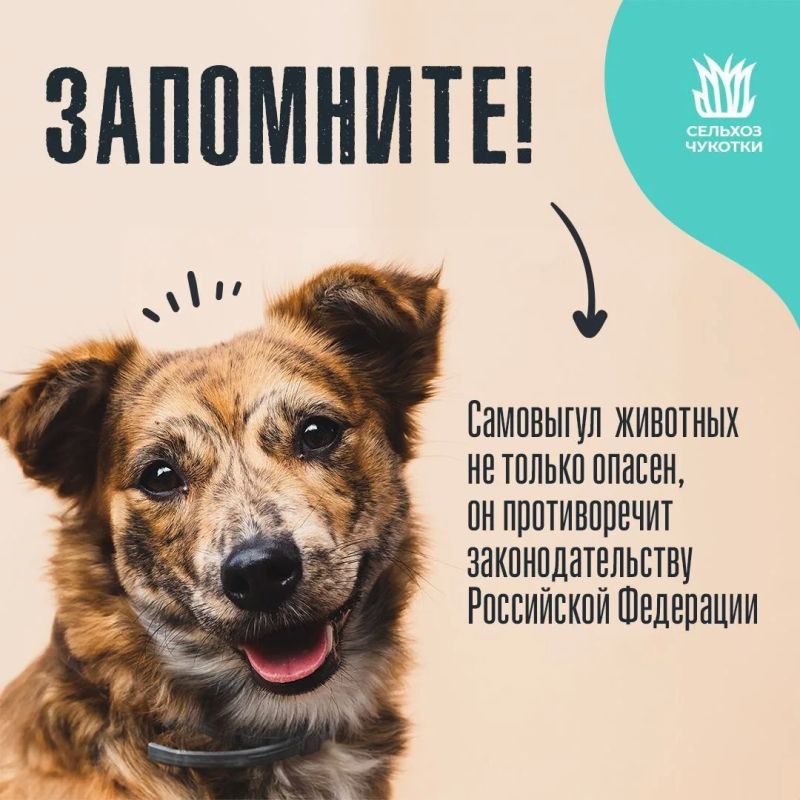 ����� ��������� � �������� �������������� ��������� ���������� �������� ��������