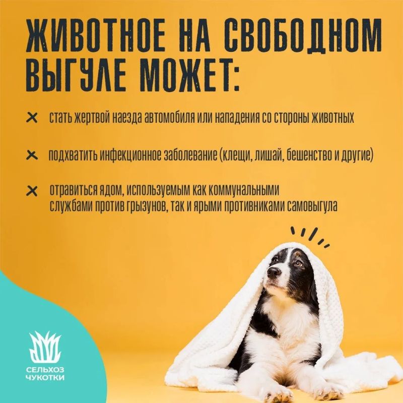 ����� ��������� � �������� �������������� ��������� ���������� �������� ��������