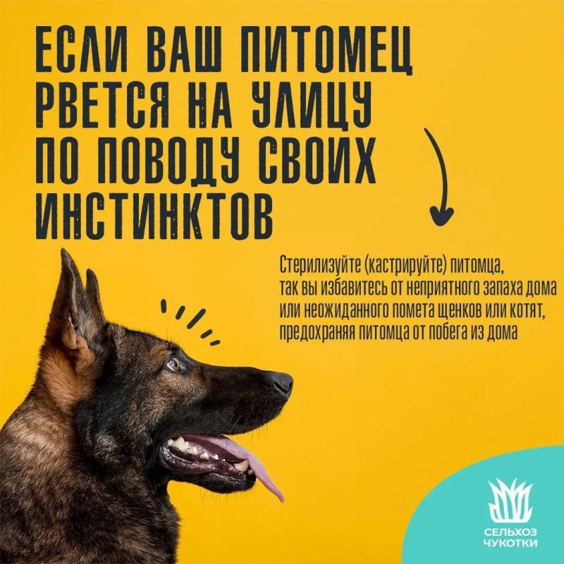 ����� ��������� � �������� �������������� ��������� ���������� �������� ��������