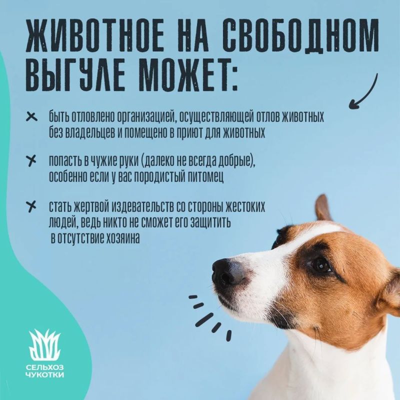 ����� ��������� � �������� �������������� ��������� ���������� �������� ��������