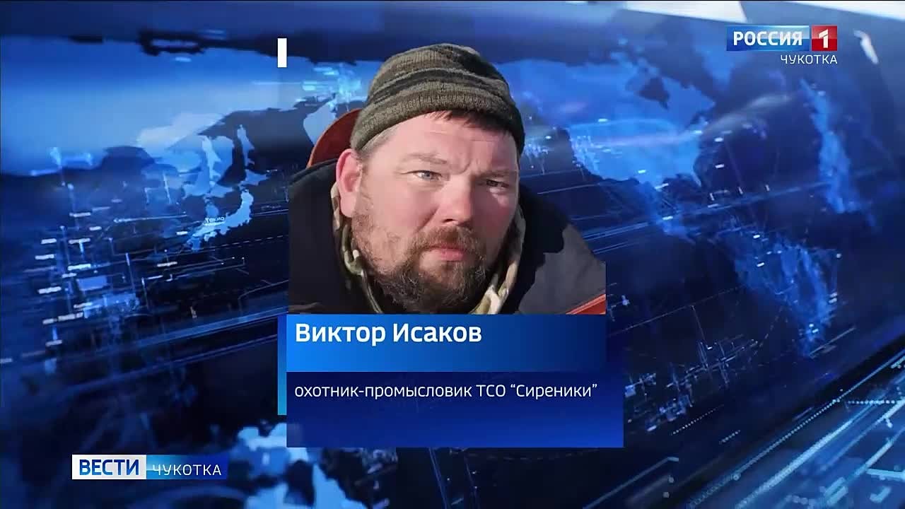 Первый кит сезона добыт на Чукотке - охотниками Сиреников