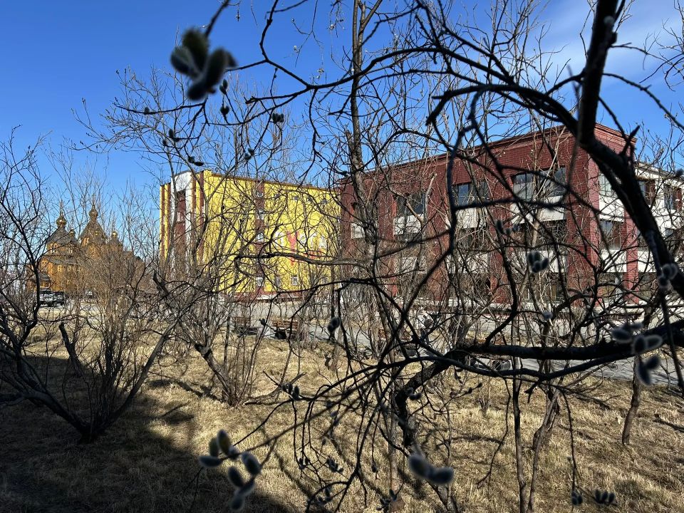 Сотрудники Департамента цифрового развития приняли участие в городском субботнике Сотрудники Департамента цифрового развития приняли участие в городском субботнике