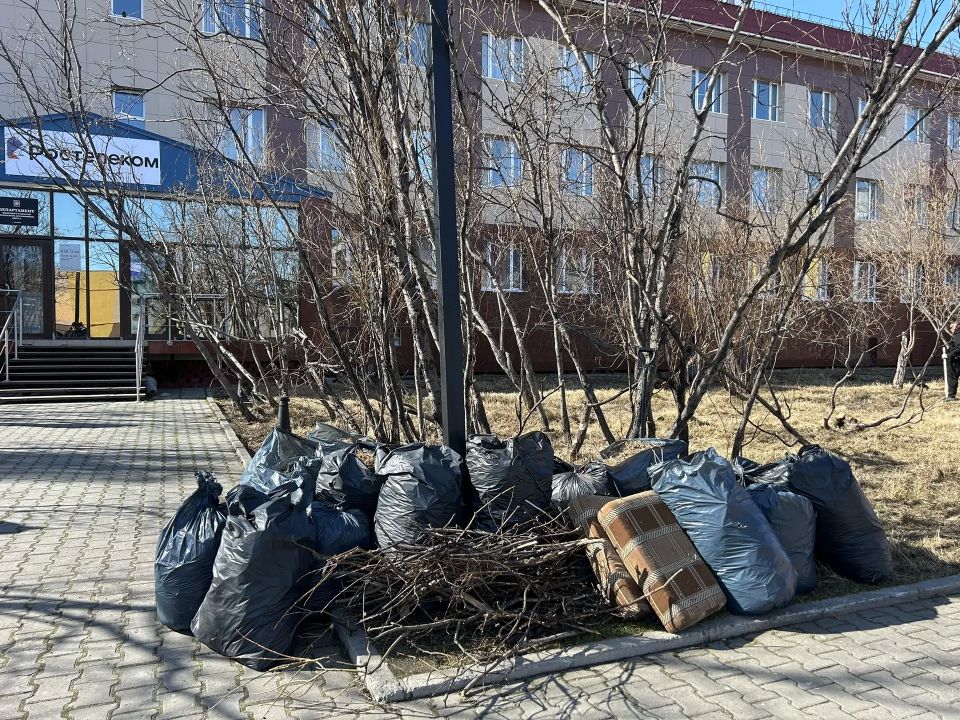 Сотрудники Департамента цифрового развития приняли участие в городском субботнике Сотрудники Департамента цифрового развития приняли участие в городском субботнике