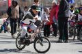 � ������� ���������� V ������������� �������� ���������, ����������� ���������� ��� ������������� � ��� ������ �����!