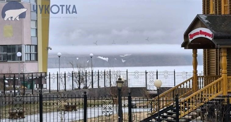12 июня в округе будет облачно с прояснениями, на большей части возможны осадки, сообщает ИА "Чукотка"
