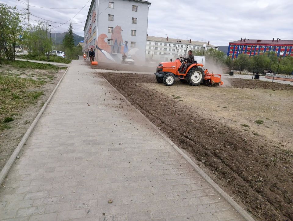 Билибино украсит 2700 цветов, выращенных в условиях вечной мерзлоты Билибино украсит 2700 цветов, выращенных в условиях вечной мерзлоты