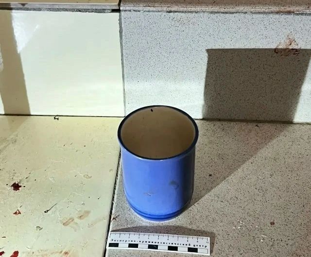 Перед судом предстанет жительница села Ваеги, обвиняемая в причинении смерти по неосторожности Перед судом предстанет жительница села Ваеги, обвиняемая в причинении смерти по неосторожности