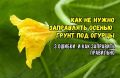 ������ � ����� �� ��������: ��� ������ ������