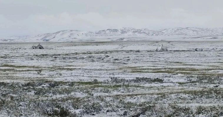 3 июля в округе будет облачно с прояснениями, на северо-востоке пройдут дожди, местами со снегом, сообщает ИА "Чукотка"