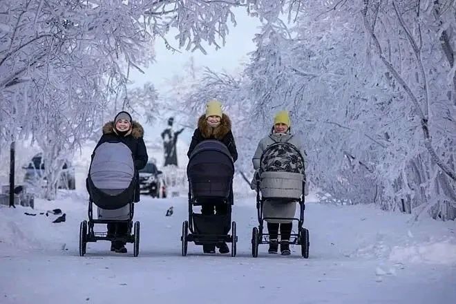 Поддержка беременных и профилактика абортов в центре внимания социального блока Правительства Чукотского автономного округа Поддержка беременных и профилактика абортов в центре внимания социального блока Правительства Чукотского автономного округа