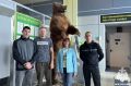 Сотрудники Главного управления МЧС России по Чукотскому автономному округу примут участие в соревнованиях по легкой атлетике в рамках ежегодной Спартакиады МЧС России