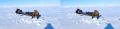 ������� 5 ������� �� ���� ���� �����������