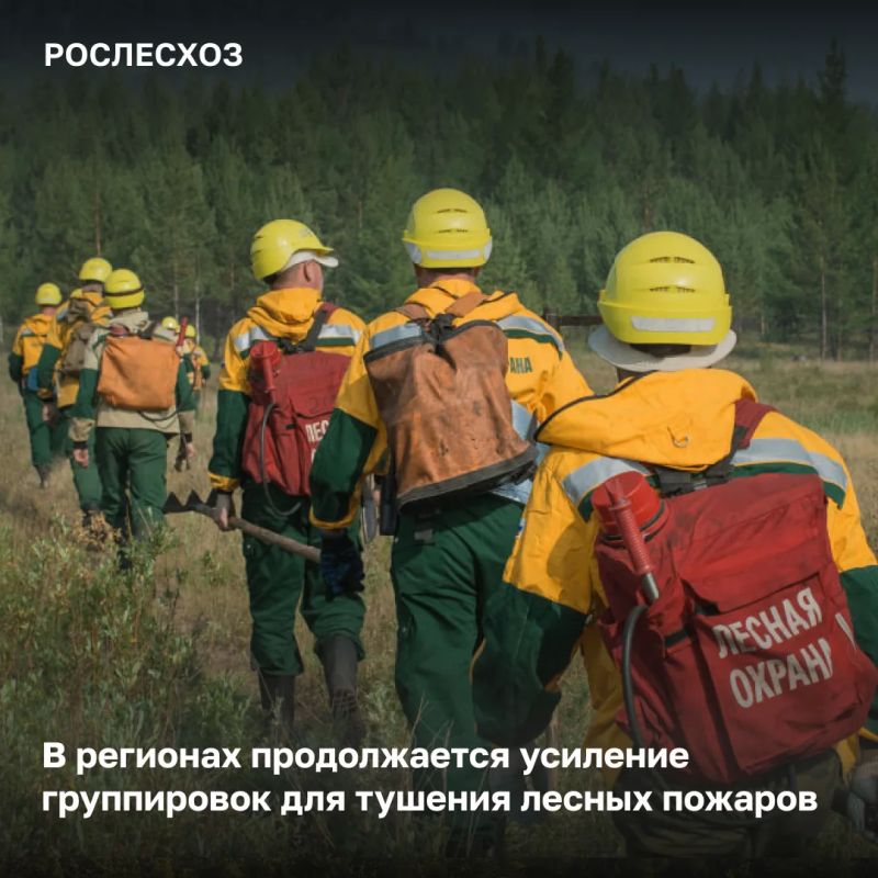 На 16:00 в Красноярском крае ведутся работы по тушению 89 лесных пожаров на площади 89 тыс
