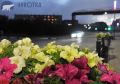26 июля в округе будет облачно с прояснениями, возможны дожди, местами грозы, а на побережье – туманы, сообщает ИА "Чукотка"