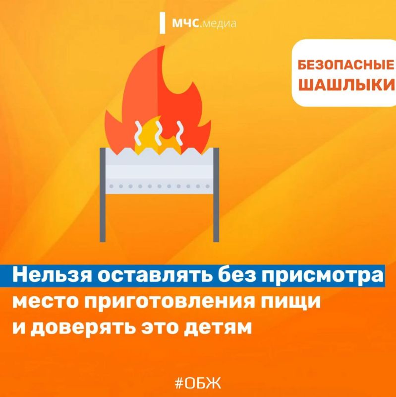Как безопасно приготовить ароматный шашлык? Как безопасно приготовить ароматный шашлык?
