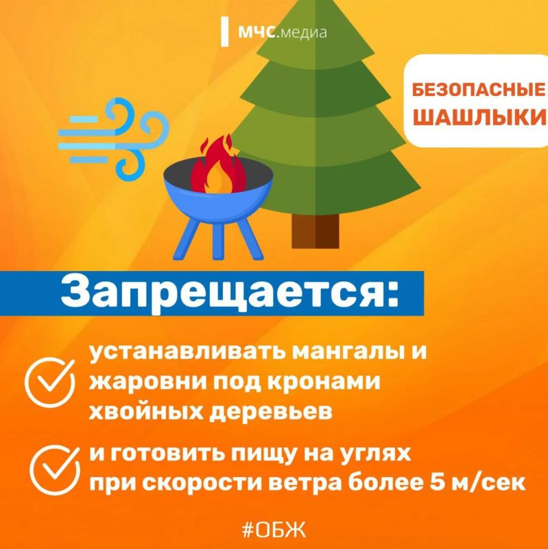 Как безопасно приготовить ароматный шашлык? Как безопасно приготовить ароматный шашлык?