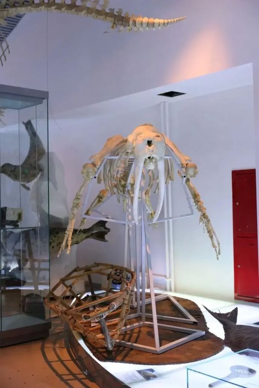 Еще больше интересного о культуре и истории Чукотки! Еще больше интересного о культуре и истории Чукотки!