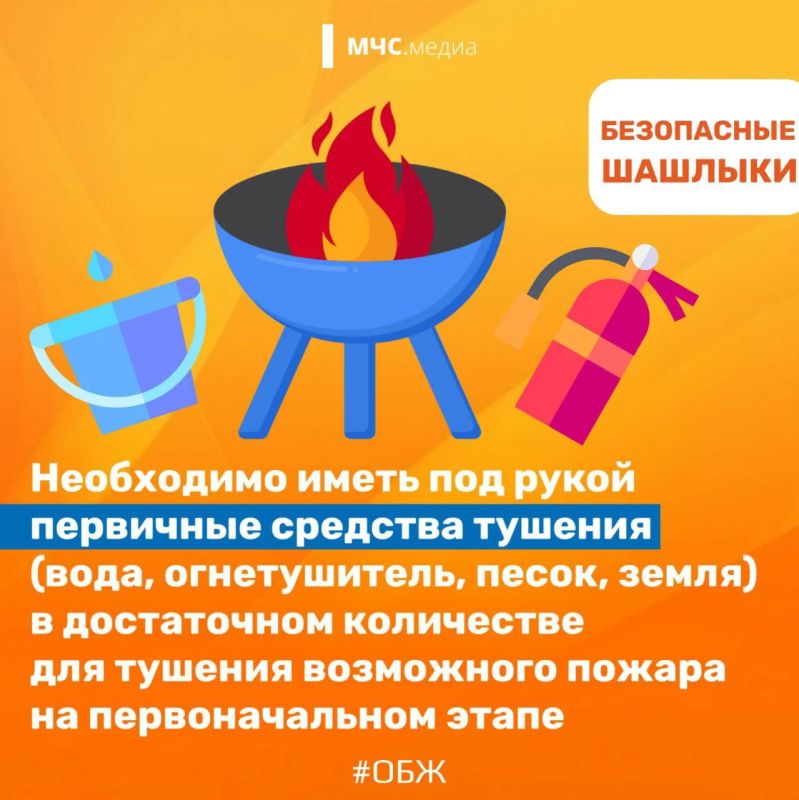Как безопасно приготовить ароматный шашлык? Как безопасно приготовить ароматный шашлык?