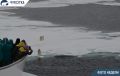 Сделать фото белого медведя на телефон смогли участники круиза, который прошёл в акватории нацпарка "Берингия"