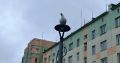 27 августа в округе будет облачно с прояснениями, на западе пройдут небольшие дожди, сообщает ИА "Чукотка"