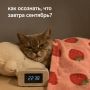 Стадия принятия сентября: загрузка… 3%