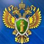 В Билибино вынесен приговор по уголовному делу о финансировании экстремистской деятельности