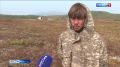 Оленеводы хатырской тундры проголосовали за кандидатов в депутаты Государственной Думы