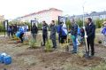 В Анадыре на «Аллее Героев» высадили 12 саженцев