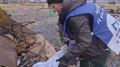 В Певеке — самом северном городе России — волонтёры «Чистой Арктики» собрали 28 тонн отходов: 8 тонн металлолома и 20 кубометров бытового мусора и древесины