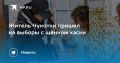 На выборах в Чукотке появился пушистый избиратель