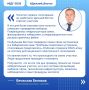 #ЕДГ2026 #ЧукоткаГолосует. Чукотка, официально!