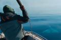 Морзверобои округа пересекли экватор охоты на ластоногих, сообщает ИА "Чукотка"
